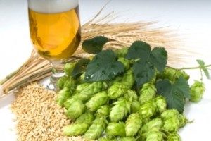 hops extraction, Beer | Hops extraction