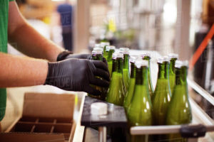 , Beer | Filling into glass bottles