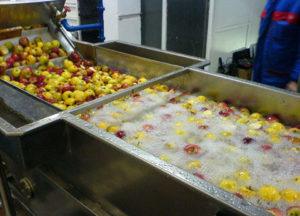 , Fruit rinsing equipment